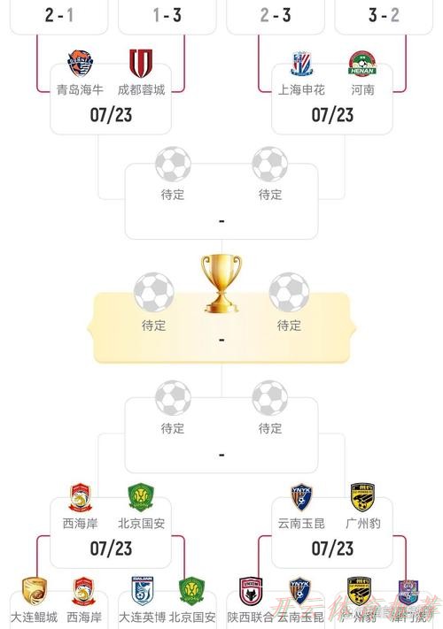 开云：足协杯第四轮战罢  申花、国安、蓉城晋级八强